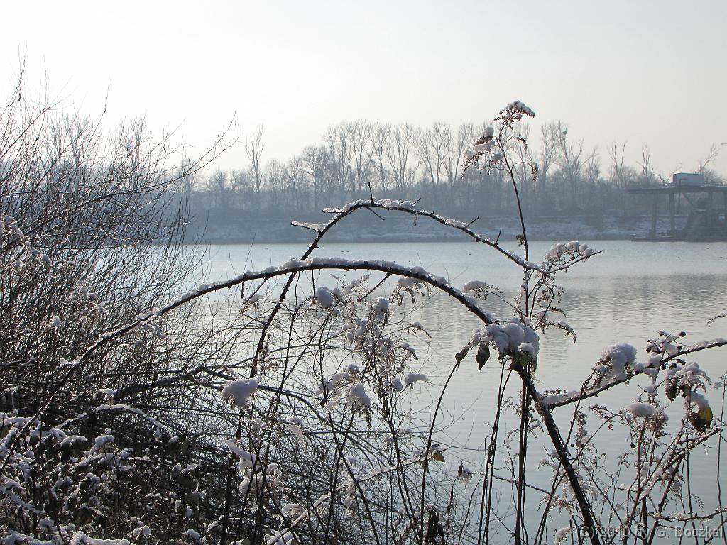 20100127-115032-22