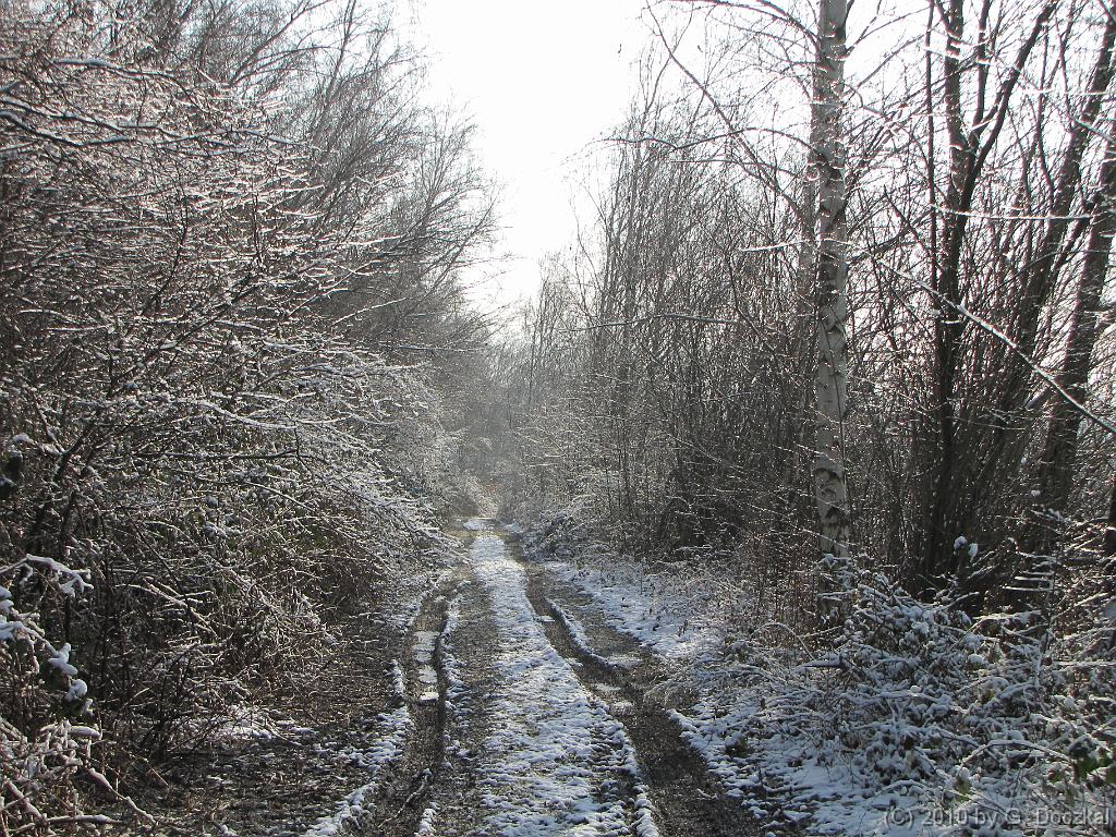 20100127-115129-23
