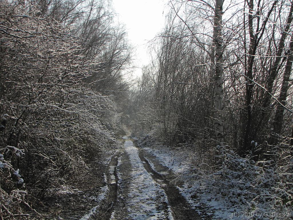 20100127-115129-24