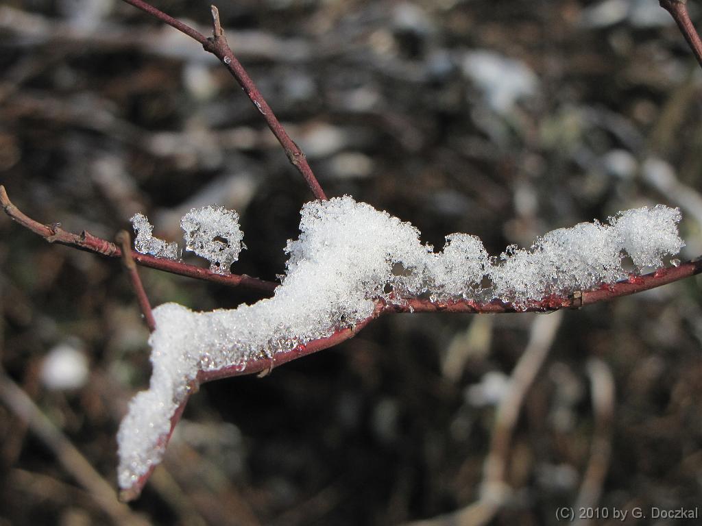 20100127-115252-26
