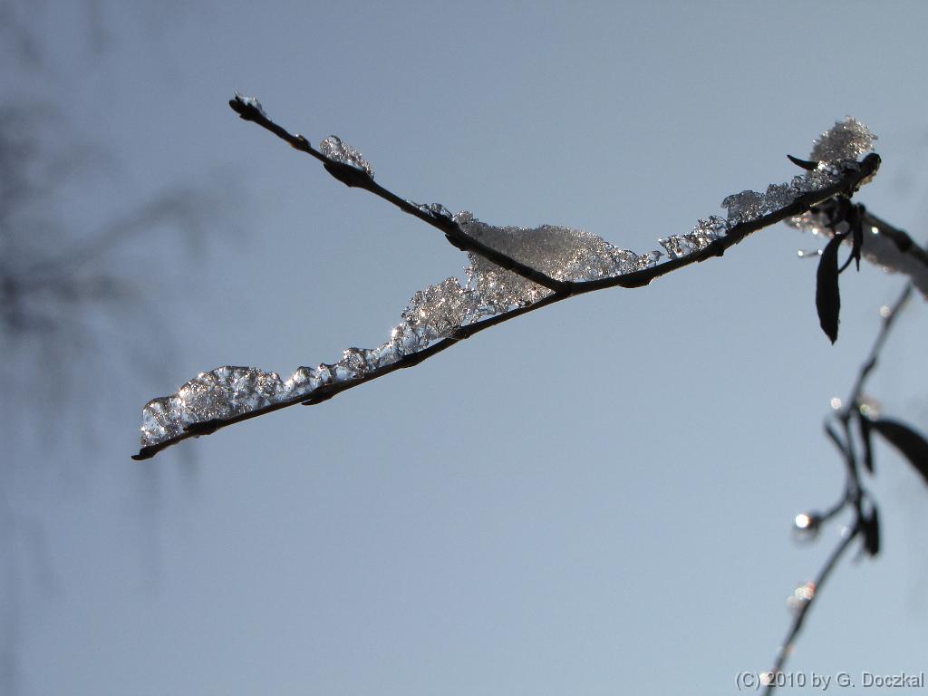 20100127-115444-29