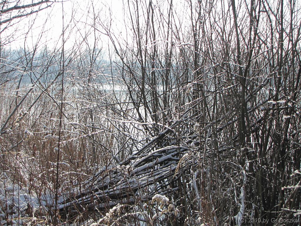 20100127-115525-30