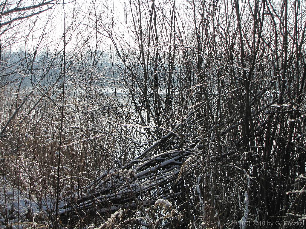 20100127-115526-31