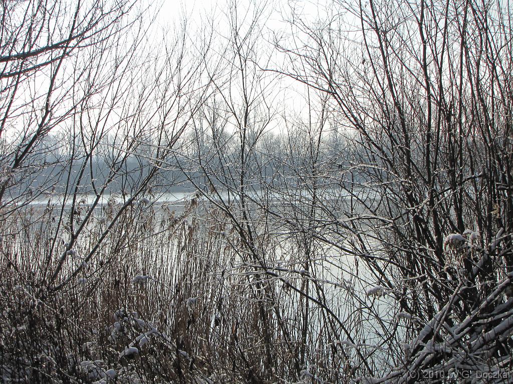 20100127-115537-32