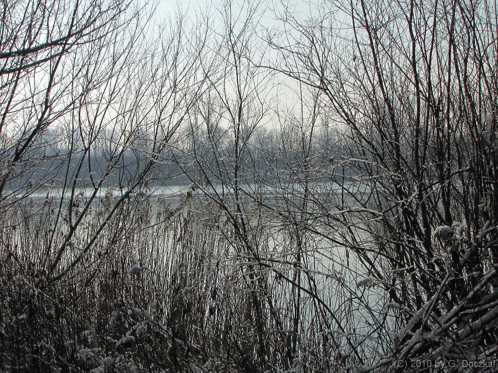 20100127-115537-33