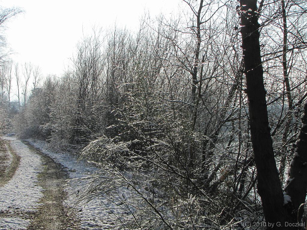 20100127-115634-34