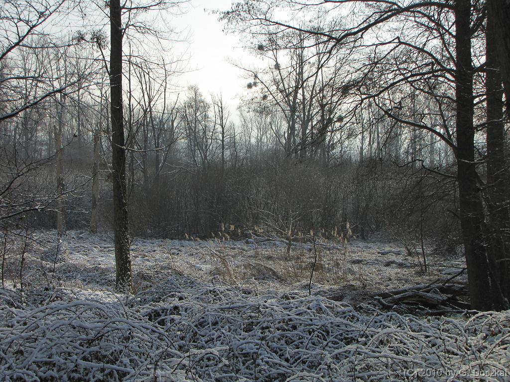 20100127-120239-38