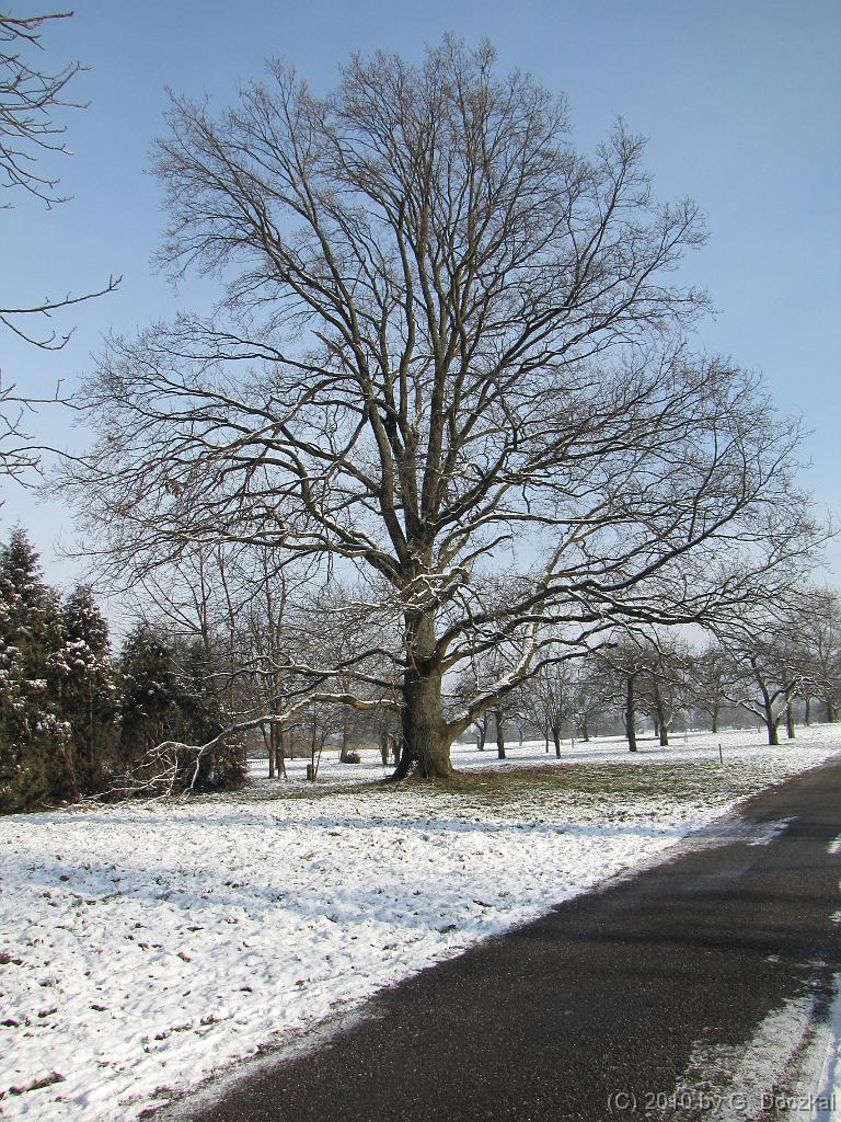 20100127-120300-39