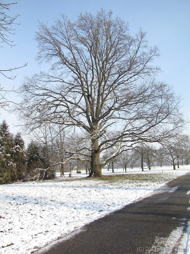 20100127-120301-40