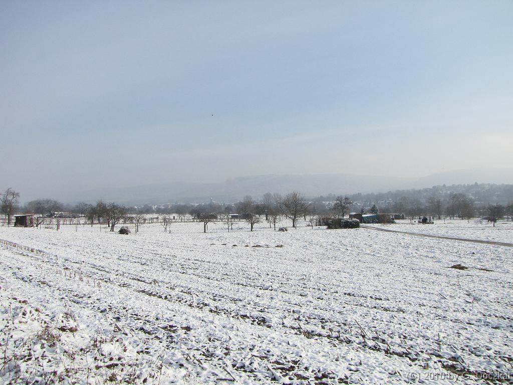 20100127-121323-42