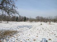  (C) 2010 by G. Doczkal, 
Winterimpressionen, 
48.881130°N/8.316889°E, 1.23  Km von Malsch, Baden-Württemberg, Germany