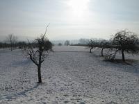  (C) 2010 by G. Doczkal, 
Winterimpressionen, 
48.881153°N/8.309941°E, 1.73  Km von Malsch, Baden-Württemberg, Germany