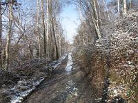  (C) 2010 by G. Doczkal, 
Winterimpressionen, 
48.879845°N/8.298877°E, 1.85  Km von Muggensturm, Baden-Württemberg, Germany