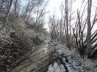  (C) 2010 by G. Doczkal, 
Winterimpressionen, 
48.879787°N/8.298925°E, 1.85  Km von Muggensturm, Baden-Württemberg, Germany