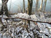  (C) 2010 by G. Doczkal, 
Winterimpressionen, 
48.879753°N/8.298935°E, 1.85  Km von Muggensturm, Baden-Württemberg, Germany
