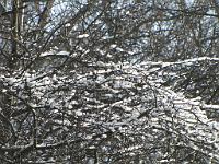  (C) 2010 by G. Doczkal, 
Winterimpressionen, 
48.879585°N/8.299230°E, 1.85  Km von Muggensturm, Baden-Württemberg, Germany