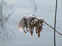  (C) 2010 by G. Doczkal, 
Winterimpressionen, 
48.879478°N/8.299387°E, 1.85  Km von Muggensturm, Baden-Württemberg, Germany