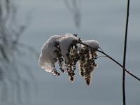  (C) 2010 by G. Doczkal, 
Winterimpressionen, 
48.879478°N/8.299387°E, 1.85  Km von Muggensturm, Baden-Württemberg, Germany