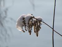  (C) 2010 by G. Doczkal, 
Winterimpressionen, 
48.879456°N/8.299423°E, 1.85  Km von Muggensturm, Baden-Württemberg, Germany