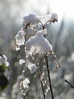  (C) 2010 by G. Doczkal, 
Winterimpressionen, 
48.879410°N/8.299480°E, 1.84  Km von Muggensturm, Baden-Württemberg, Germany
