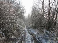  (C) 2010 by G. Doczkal, 
Winterimpressionen, 
48.879196°N/8.299688°E, 1.84  Km von Muggensturm, Baden-Württemberg, Germany