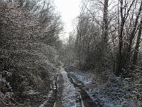  (C) 2010 by G. Doczkal, 
Winterimpressionen, 
48.879196°N/8.299688°E, 1.84  Km von Muggensturm, Baden-Württemberg, Germany