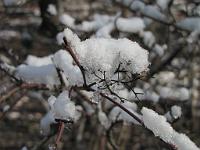  (C) 2010 by G. Doczkal, 
Winterimpressionen, 
48.879158°N/8.299704°E, 1.83  Km von Muggensturm, Baden-Württemberg, Germany