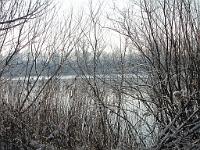  (C) 2010 by G. Doczkal, 
Winterimpressionen, 
48.878681°N/8.300183°E, 1.82  Km von Muggensturm, Baden-Württemberg, Germany