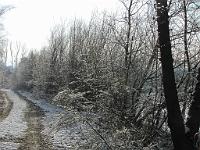  (C) 2010 by G. Doczkal, 
Winterimpressionen, 
48.878315°N/8.300533°E, 1.81  Km von Muggensturm, Baden-Württemberg, Germany