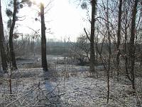  (C) 2010 by G. Doczkal, 
Winterimpressionen, 
48.876148°N/8.302023°E, 1.73  Km von Muggensturm, Baden-Württemberg, Germany