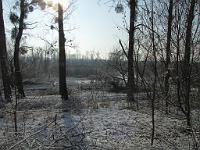  (C) 2010 by G. Doczkal, 
Winterimpressionen, 
48.876148°N/8.302023°E, 1.73  Km von Muggensturm, Baden-Württemberg, Germany