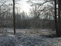  (C) 2010 by G. Doczkal, 
Winterimpressionen, 
48.876190°N/8.302633°E, 1.76  Km von Muggensturm, Baden-Württemberg, Germany