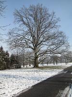  (C) 2010 by G. Doczkal, 
Winterimpressionen, 
48.876194°N/8.302795°E, 1.77  Km von Muggensturm, Baden-Württemberg, Germany