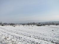  (C) 2010 by G. Doczkal, 
Winterimpressionen, 
48.876991°N/8.313078°E, 1.64  Km von Malsch, Baden-Württemberg, Germany