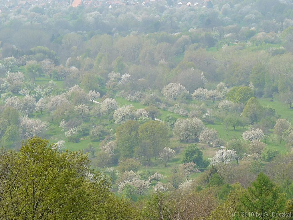 20100420-135035-11