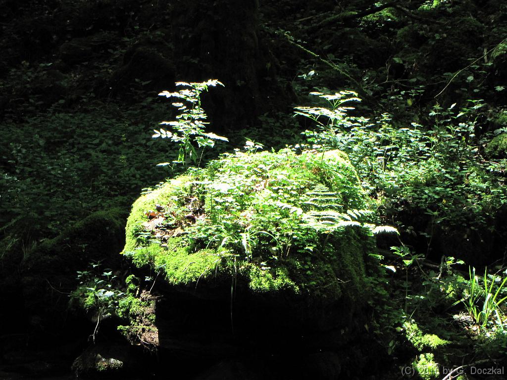 20100522-125641-2