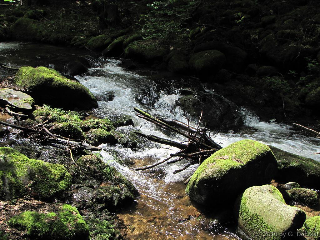 20100522-130010-6