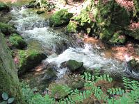  (C) 2010 by G. Doczkal, 
Wildes Wasser, 
48.716160°N/8.245278°E, 0.88  Km von Malschbach, Baden-Württemberg, Germany