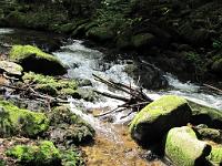  (C) 2010 by G. Doczkal, 
Wildes Wasser, 
48.715900°N/8.245341°E, 0.88  Km von Malschbach, Baden-Württemberg, Germany