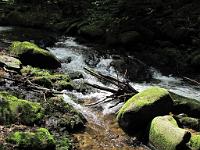  (C) 2010 by G. Doczkal, 
Wildes Wasser, 
48.715889°N/8.245370°E, 0.89  Km von Malschbach, Baden-Württemberg, Germany