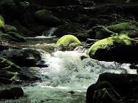  (C) 2010 by G. Doczkal, 
Wildes Wasser, 
48.715755°N/8.245357°E, 0.89  Km von Malschbach, Baden-Württemberg, Germany