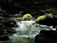  (C) 2010 by G. Doczkal, 
Wildes Wasser, 
48.715755°N/8.245341°E, 0.89  Km von Malschbach, Baden-Württemberg, Germany