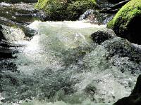  (C) 2010 by G. Doczkal, 
Wildes Wasser, 
48.715645°N/8.245340°E, 0.89  Km von Malschbach, Baden-Württemberg, Germany