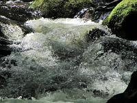  (C) 2010 by G. Doczkal, 
Wildes Wasser, 
48.715660°N/8.245312°E, 0.89  Km von Malschbach, Baden-Württemberg, Germany