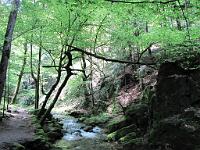  (C) 2010 by G. Doczkal, 
Grobbachtal, 
48.715199°N/8.244997°E, 0.87  Km von Malschbach, Baden-Württemberg, Germany