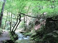  (C) 2010 by G. Doczkal, 
Grobbachtal, 
48.715202°N/8.244993°E, 0.87  Km von Malschbach, Baden-Württemberg, Germany