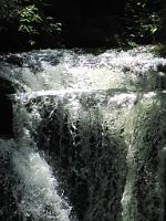  (C) 2010 by G. Doczkal, 
Wildes Wasser, 
48.713482°N/8.249773°E, 1.26  Km von Malschbach, Baden-Württemberg, Germany
