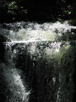  (C) 2010 by G. Doczkal, 
Wildes Wasser, 
48.713482°N/8.249775°E, 1.26  Km von Malschbach, Baden-Württemberg, Germany