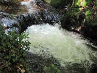  (C) 2010 by G. Doczkal, 
Wildes Wasser, 
48.712215°N/8.249695°E, 1.30  Km von Malschbach, Baden-Württemberg, Germany