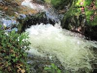  (C) 2010 by G. Doczkal, 
Wildes Wasser, 
48.712212°N/8.249699°E, 1.30  Km von Malschbach, Baden-Württemberg, Germany